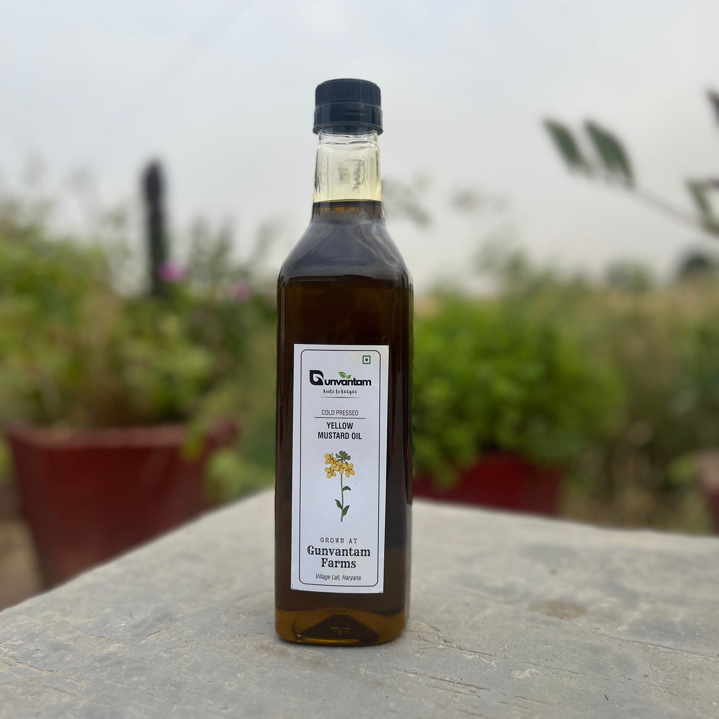 Cold pressed Yellow Mustard Oil - 1 ltr